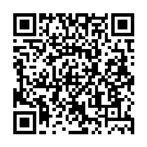 似乎对眼前这中年人的客气话颇有些意外和得意的样子二维码生成