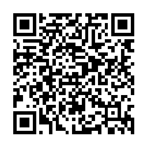 似乎就能让人想到雨后墙上被洗刷得干净的爬山虎二维码生成