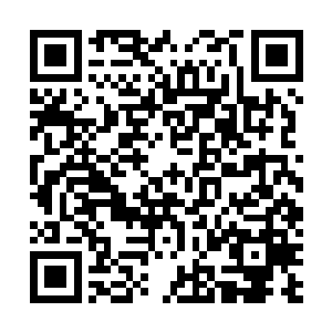 似乎巴不得就立刻给董小忍挑出一辆能让她满意的车子来二维码生成