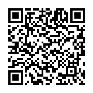 似乎并不是为了让他忘记特定时间内的记忆而下的实际上二维码生成