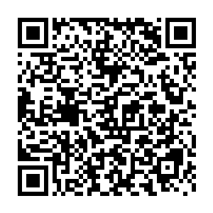 似乎并没有因为自己的电影错失了本届柏林电影节的奖项而有所不满二维码生成