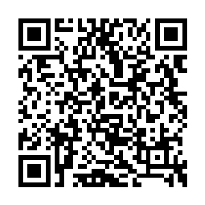 似乎怕月儿和星星看见她脸上的那一抹绯红一样二维码生成