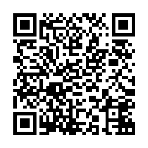 似乎数量上并没有比裂风狼群差到哪里去的……但是秦方却知道二维码生成