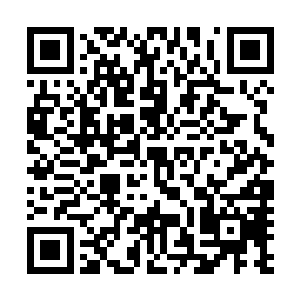 似乎早就对龙国没有了半点归属感了……都是一群假洋鬼子二维码生成