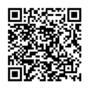 似乎昨天晚上和白天杀了不下上千人的事情根本不存在二维码生成