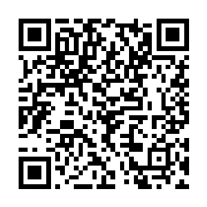 似乎是在等待雷林松懈或者无梦者假面破碎的一天二维码生成
