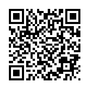 似乎是察觉到了阿尼亚心里的不安二维码生成