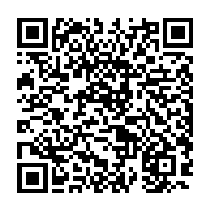 似乎是所有人都非常有默契的想要听一听那脖子被人拧断的声响似的二维码生成