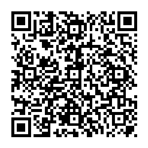 似乎是抽干了流墨墨的血液变化而成的···我在遇到血色怪物的时候就遇到雪如楼二维码生成