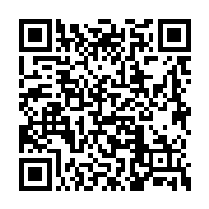 似乎是要见证什么足以载入史册激动人心的时刻二维码生成