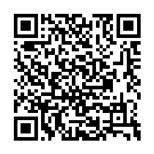 似乎是觉察到自己身旁的白袍男子对此毫无兴趣二维码生成