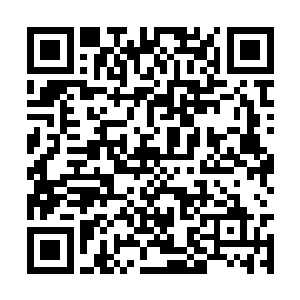 似乎正在观察着眼前的冷漠青年有什么过人之处没二维码生成