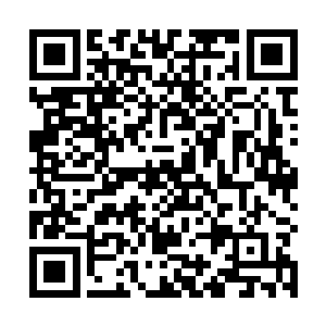 似乎正有一个跟他这天地洪炉大有关联的生灵正在苏醒二维码生成