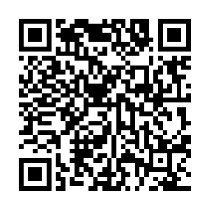 似乎每一次颜色的变化都会给引龙决本身带来很大的改变二维码生成