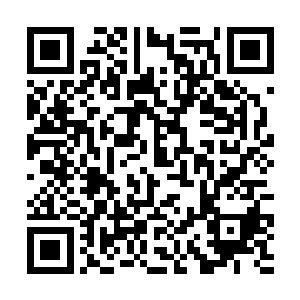 似乎比当日霍君白在狂山派脚下遇到他时又更有精进二维码生成