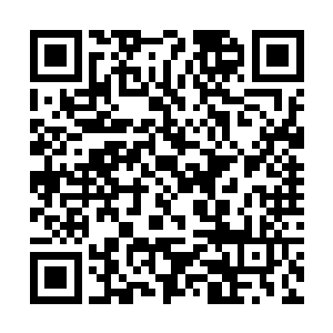 似乎给老祖婆的高声朗诵歌诀破了她的琴音而镇住了二维码生成