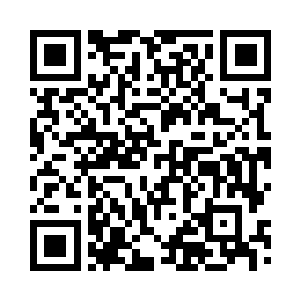 似乎能够一眼看穿全婵妤内里的一切二维码生成