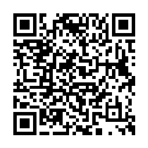 似乎自家的儿子这么妖孽完全没有任何问题一样二维码生成