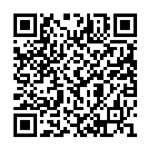 似乎还这的是没有了……他的有点肯定是很多的二维码生成