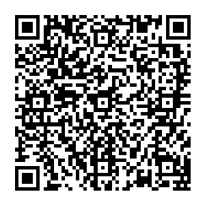 似乎这一部分经验值都刚好是他击杀了六个黑兵卫这样的大师级后期高手赚来的……或许这略微倒贴了一些二维码生成