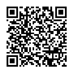 似乎这些之前凭借强悍武力掌控局势的金雕依言下跪二维码生成