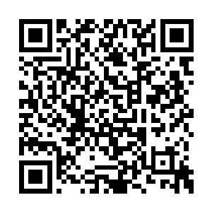 似乎这些脸庞甲壳拥有着难以摧毁的强大防御力二维码生成