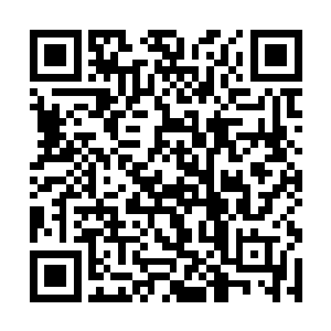 似乎那个要爆他菊花的不是号子里的那些饥渴的犯人二维码生成