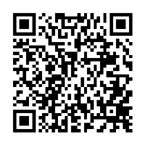 似乎都没有极北永夜之州夹杂着冰核的暴风雪来得猛烈二维码生成