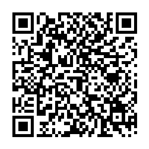 佃户陈家一下子就和五龙山区最有代表性的五龙峪白家和大刀客头子成了亲家二维码生成