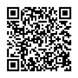 但一双眼却死死地盯着这些无法无天的豺虎乱臣二维码生成