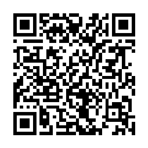 但下一刻唐劫六只铁臂已对着这只震天兽连续轰出近百拳二维码生成