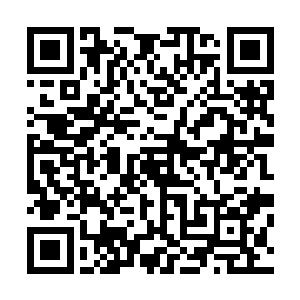 但不动用能量以我们这个境界的身体素质来说根本就没啥用二维码生成