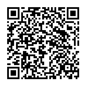 但两人之间境界和等级的差异悬殊所带来的那种让人感觉无能为力的碾压感二维码生成