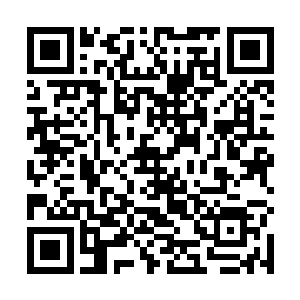 但为了之后不再出现这种因为无法适应和掌控世界之力二维码生成