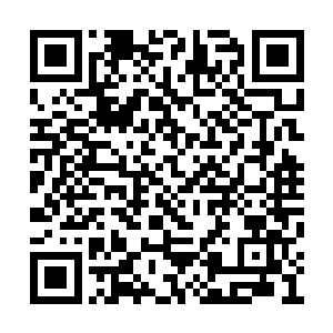 但也正因为看清楚了夏云杰那张年轻陌生的脸庞二维码生成