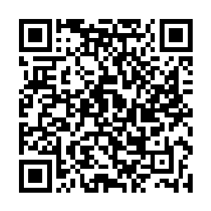 但也觉得让一个正常人和一个傻子成为夫妻不太人道二维码生成