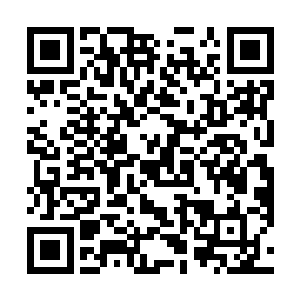 但也都同那名四级骨器师一样没有随便暴露老人的身份二维码生成