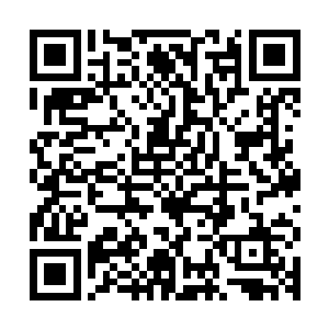 但事实上两人在私下的相处中一直是以宁忌这高冷小军医做主导二维码生成