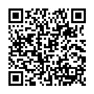 但事实上里克始终没有正面和雨果再次进行接触二维码生成