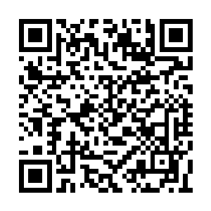 但五大鬼船有个致命问题就是它们其实也不齐心二维码生成