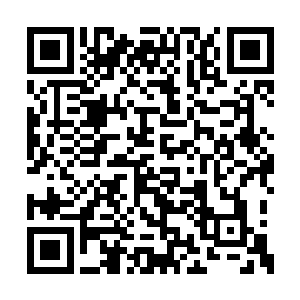 但五行力量却有着一个其他力量无法比拟的优势二维码生成