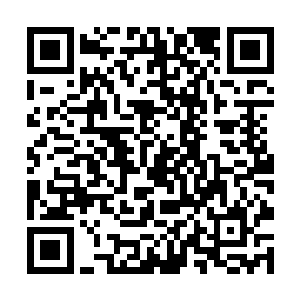 但人类有着独特的地位－－谁让国主和国母都是人类二维码生成