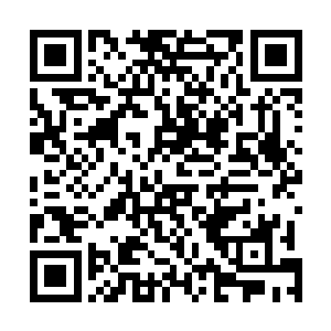 但仍旧看不清庙明神究竟是用何种方法探寻到苍蓝龙鲸的二维码生成