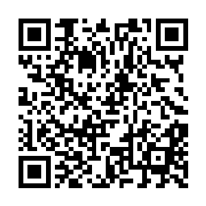 但从没听说过化生出这样一只具有灵性的火鸟来二维码生成