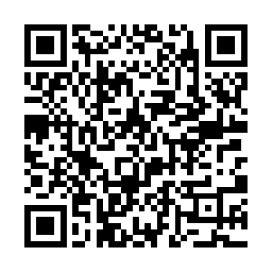 但他们依然掌握着丰富的战斗经验和高深莫测的神通二维码生成