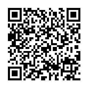 但他们却不在认为叶秋跟他们一样都是公司员工了二维码生成