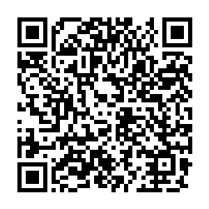 但他们却可以利用各种各样的办法将自己的修炼方法和宝物传回去二维码生成