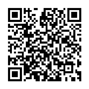 但他们却能通过自己的灵识隐约感觉到半空中漂浮的强大灵识二维码生成