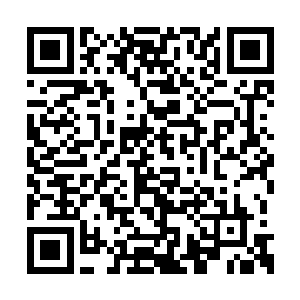 但他们对刚刚发生的一切似乎都已经习以为常了二维码生成