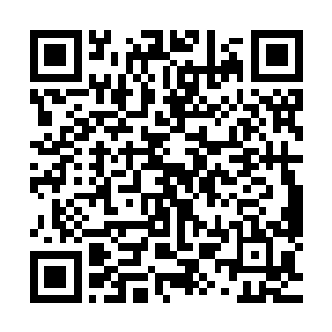 但他刚一走出酒店大门就被一群疯狂的日本女球迷团团围住了二维码生成